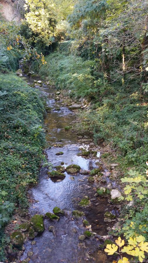 Moulin Des Eaux Vives Hotell Grasse Exteriör bild